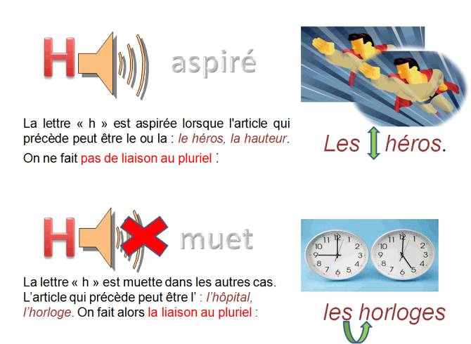 法语中H为什么不发音?虚音哑音怎么分?H