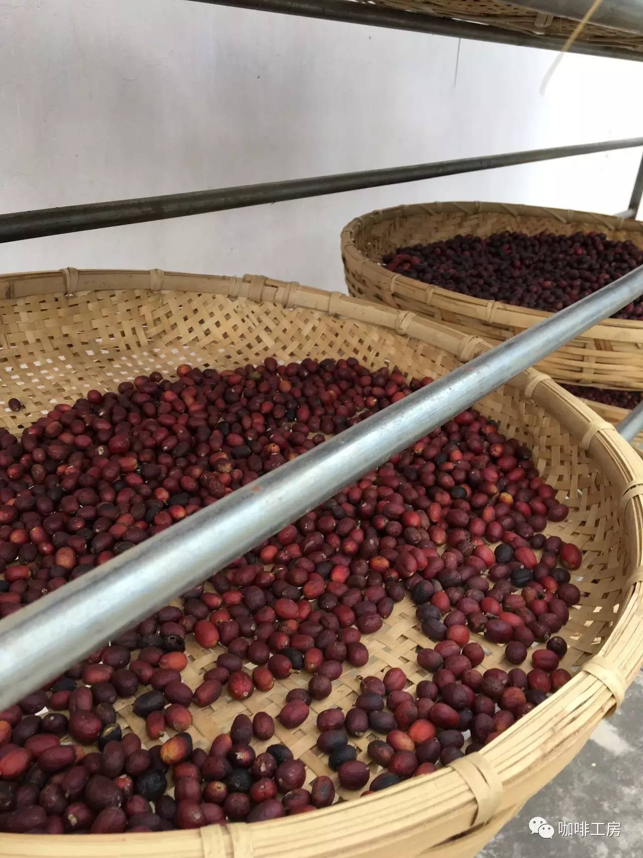 【记录片】中国咖啡崛起在云南,探索中国精品