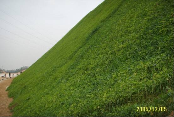 喷播植草护坡,是国外近十多年新开发的一项边坡植物防护措施,是交草籽