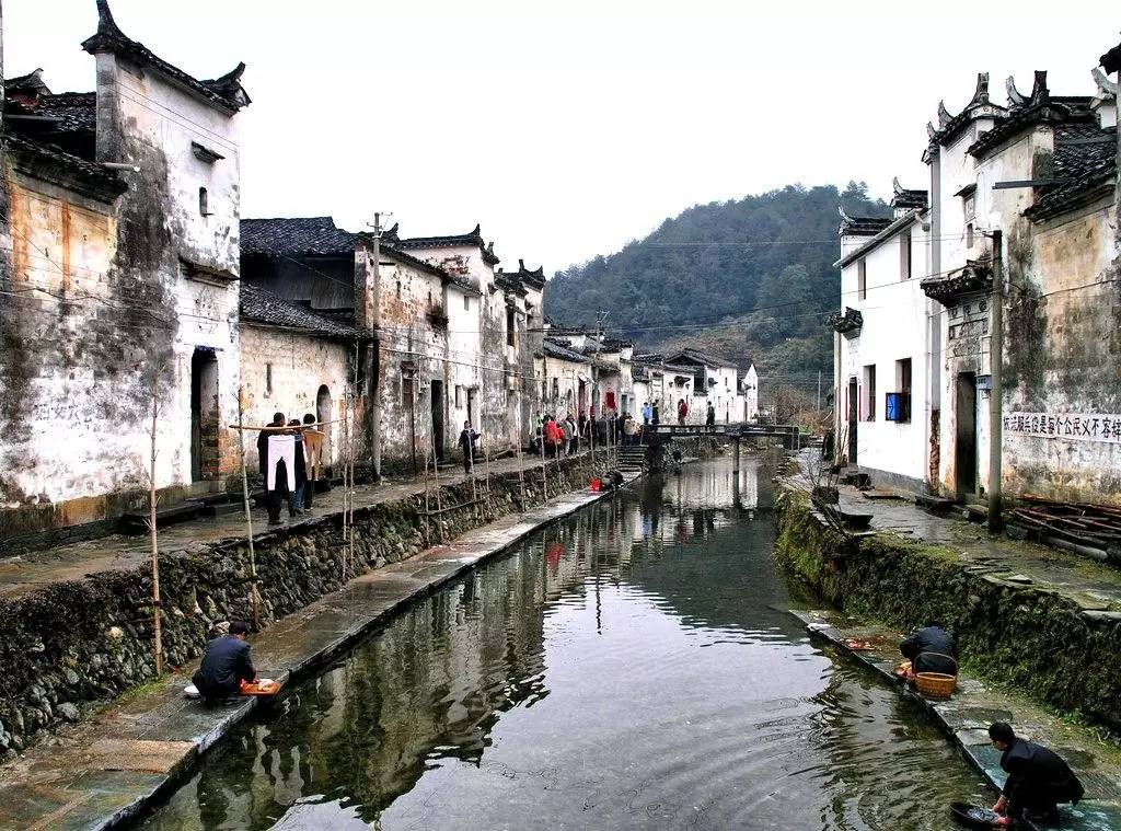 婺源人口味_婺源油菜花图片