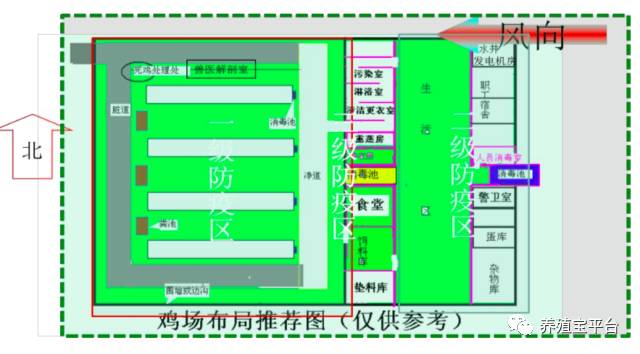 适合中小型养殖场的生物安全操作方案,经济实惠!