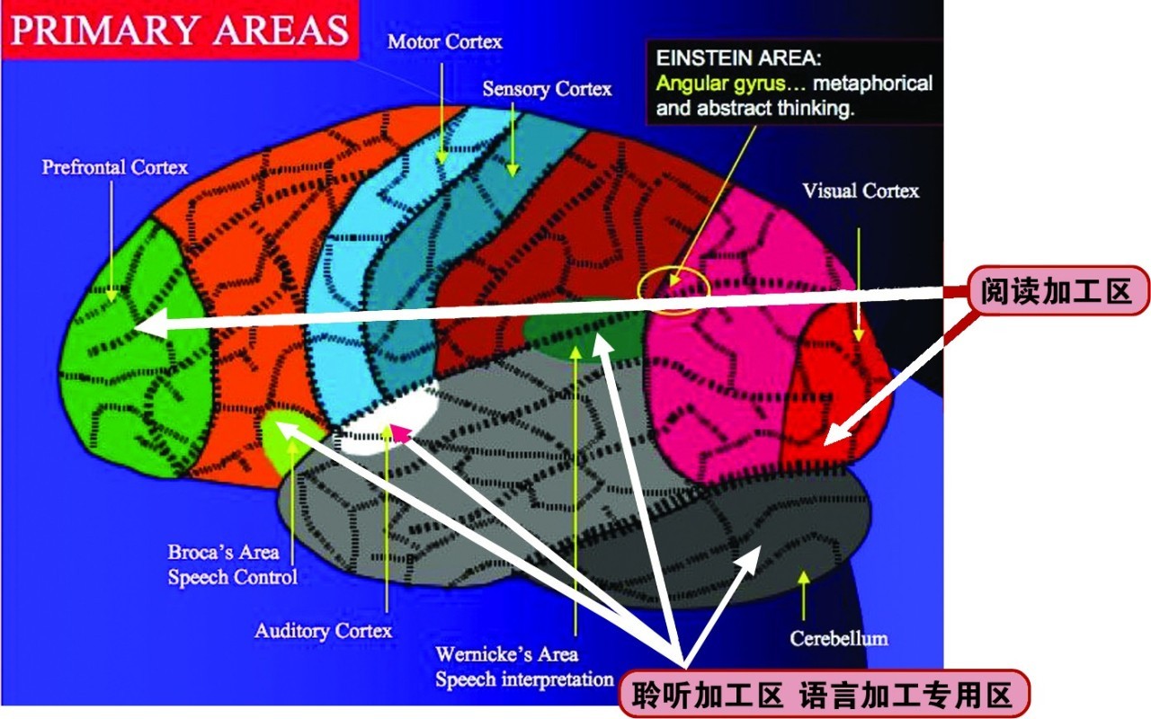 城市人口生长理论_北京人口缘何不断膨胀 调控该往哪走(2)