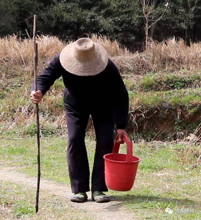 【悲惨】留守老人不慎掉进水坑里淹死