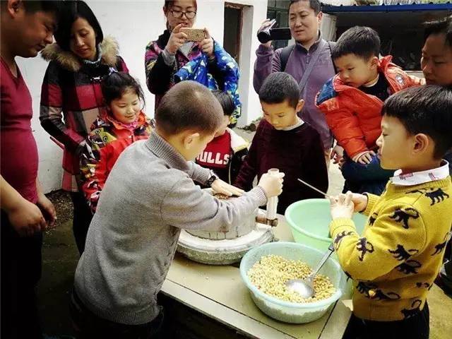 探秘蜜蜂王国寻蜂行动、打蜂蜜、做稻草人、