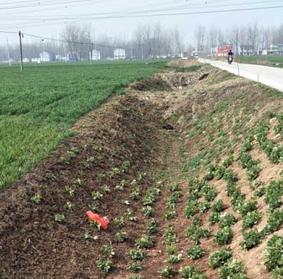 河南永城市两干多万小型农田水利工程成摆设