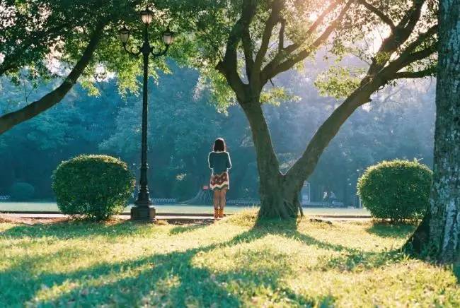 是否曾留心 清晨·阅读·知识的味道 一年之计在于春,一日之计在于晨