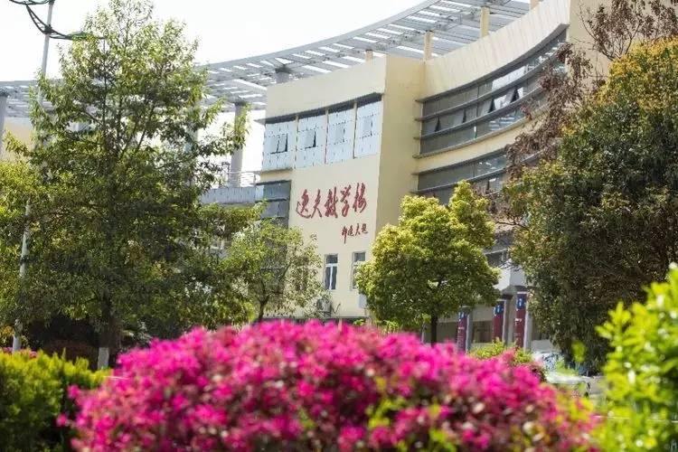 一位老师镜头下春暖花开的三峡大学校园