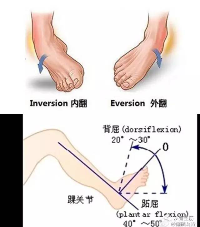 外伤后,踝关节要这样锻炼!