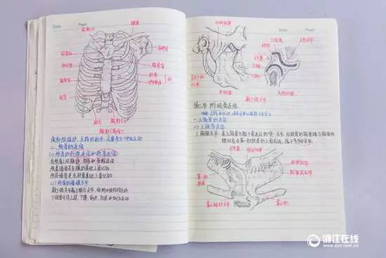 word课堂笔记,你们都是被医学耽误的画家吧!