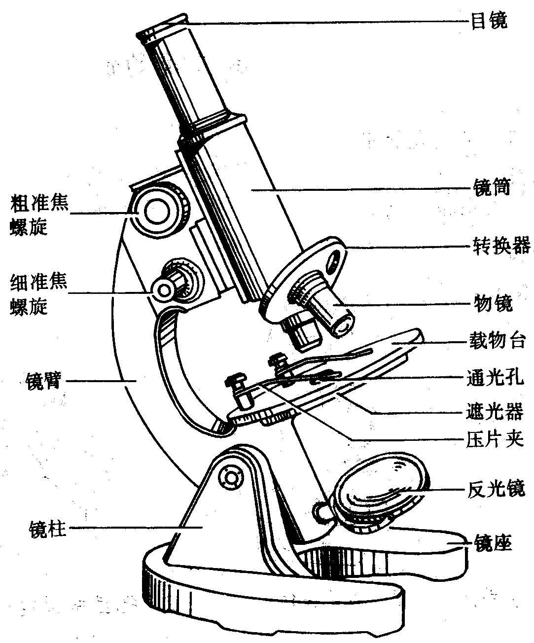 最早的显微镜是 16 世纪末期(1590 年)在荷兰制造出来.