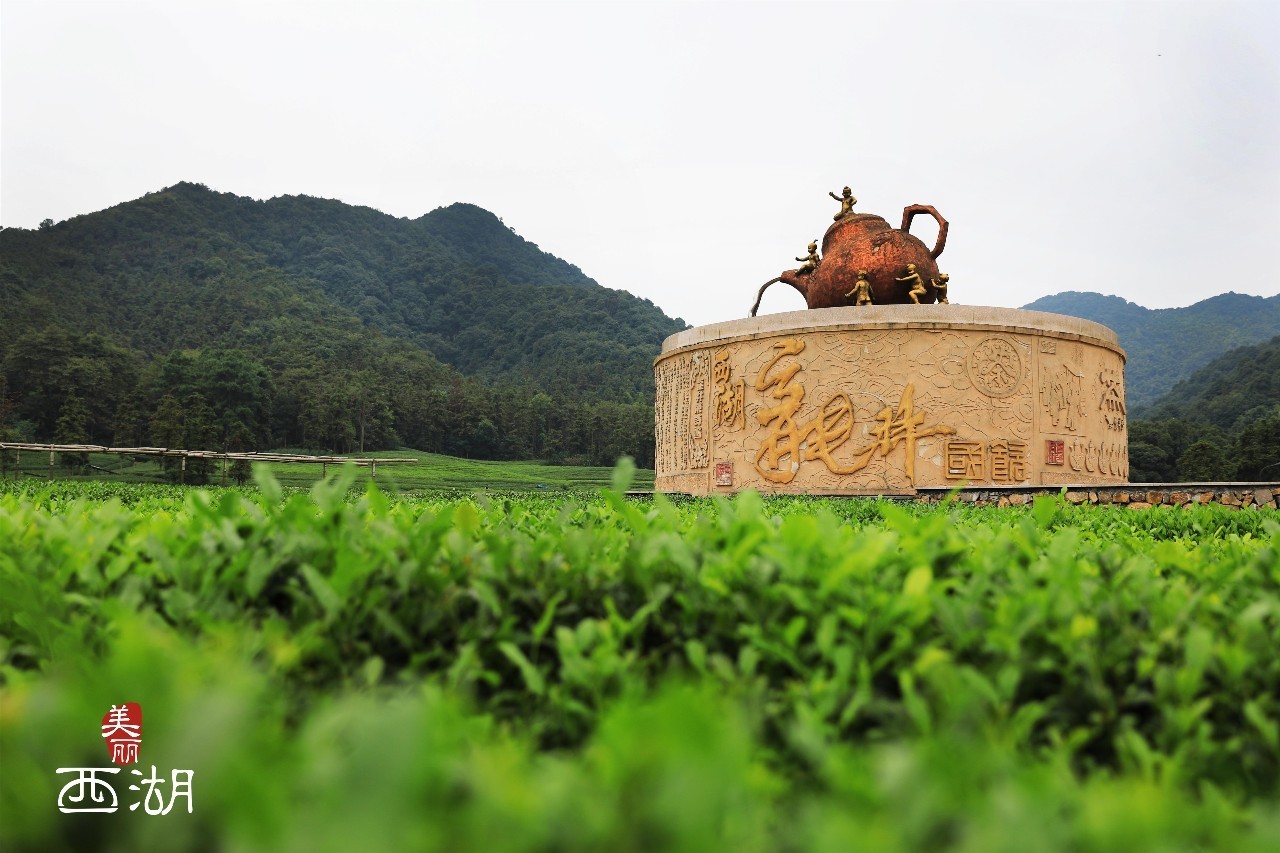 旅游 正文 龙坞茶镇的标志性建筑——大茶壶 万达旅业的王主任和小西