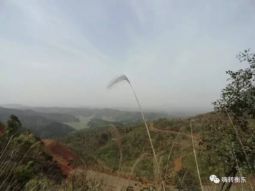 【衡东行走】重走东岗山