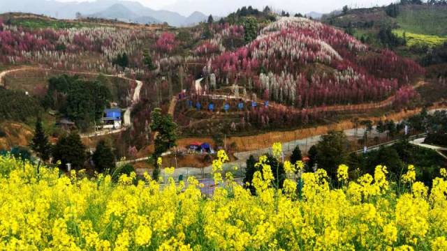 地址:成都市大邑县金星乡桃花寨 门票:10元 自驾游路