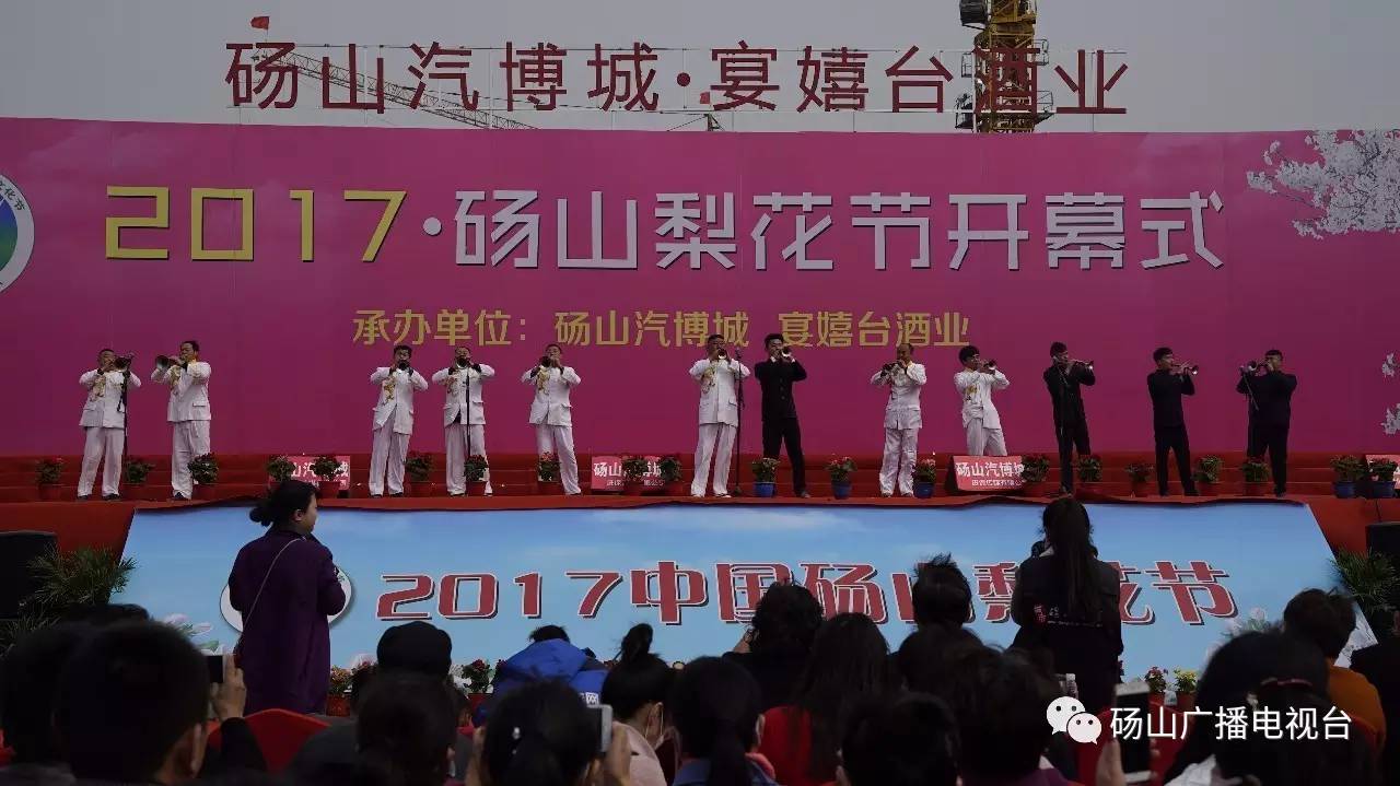 2017中国·砀山梨花节盛大开幕