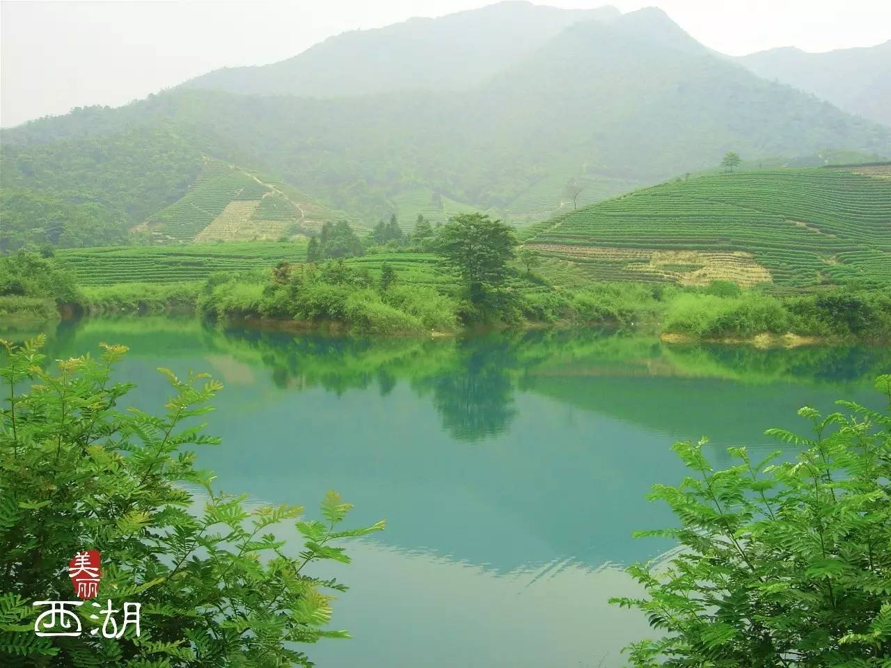 龙坞茶镇的标志性建筑—大茶壶 万达旅业的王主任和小西分享了他的