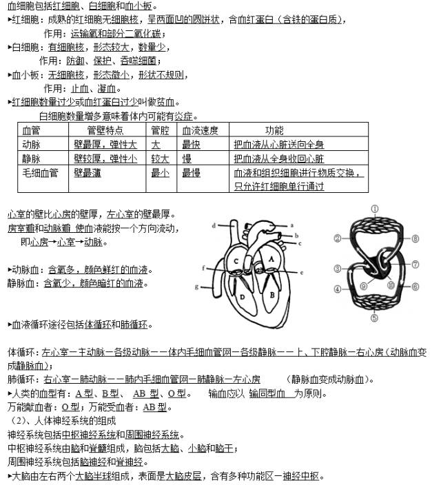 【生物】初中生物会考复习资料,太有用了,尽早收藏!