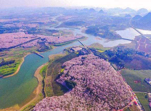 贵安新区原平坝农场红枫湖畔花海