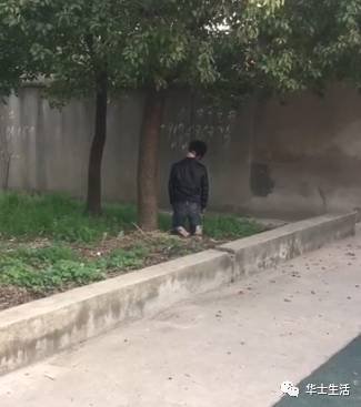 江阴一名16岁少年呈跪姿缢死在树下! 警方证实系自杀