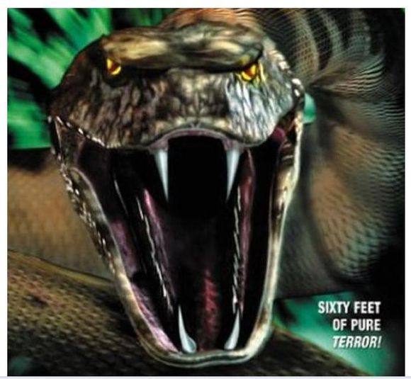 小时候怕蛇但又特别想看,十部关于蛇的恐怖电影