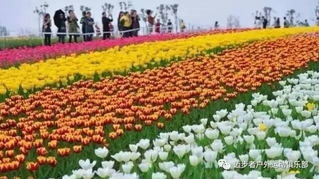 江西·新余彩色村 亚热带植物园 宜春花博园 仰山栖隐禅寺