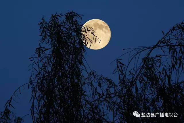 明珠高悬千百夜, 人间又过几世秋. 古城宫墙今又在, 何处见昔日兰舟.