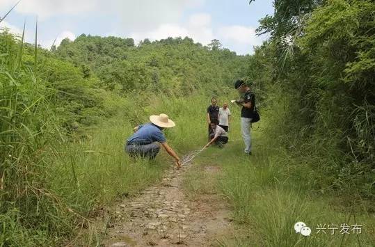 通城县大坪乡多少人口_通城县大坪乡来苏小学(2)