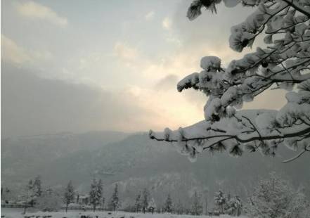 山西的五台山叕下雪了,景色真是太美了!朋友圈都刷爆了!