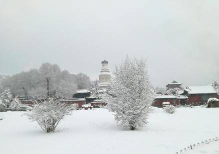 山西的五台山叕下雪了,景色真是太美了!朋友圈都刷爆了!