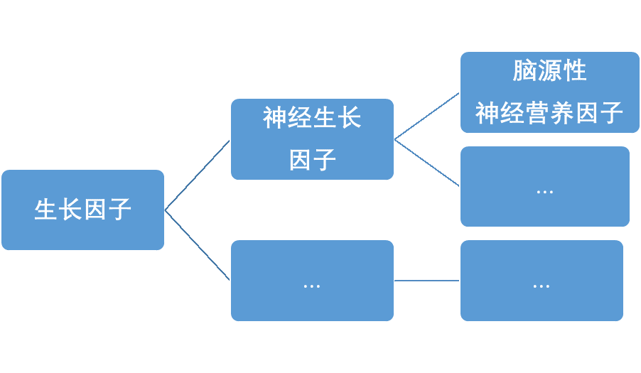 大脑科学与教育神经学(02)从x26quot;脑源性神经营养因子x26quot