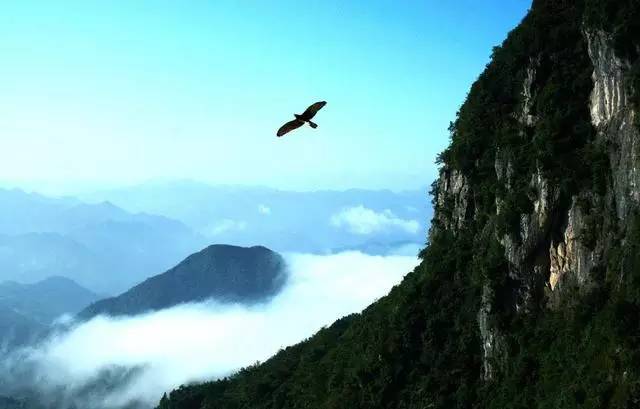 青海“小众”景点大盘点—西宁古八景