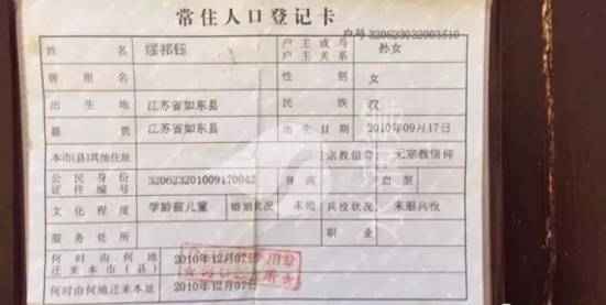 如东 60岁以上人口_如东中国最 老 县 1个年轻人要养8个老人(3)