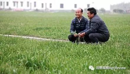 上海松江家庭农场主,年入40万,只要你肯踏实种