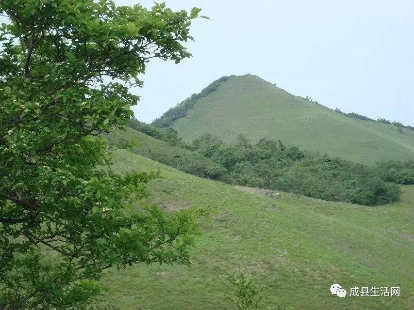 成县人口多少_数千名人齐聚这里,场面太壮观 附现场视频(2)