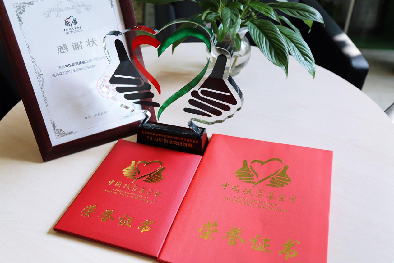 专注教育公益 华谊嘉信获颁中国扶贫基金会纪念牌