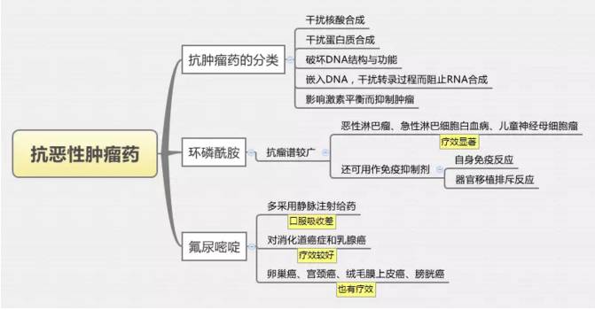 思维导图丨抗恶性肿瘤药