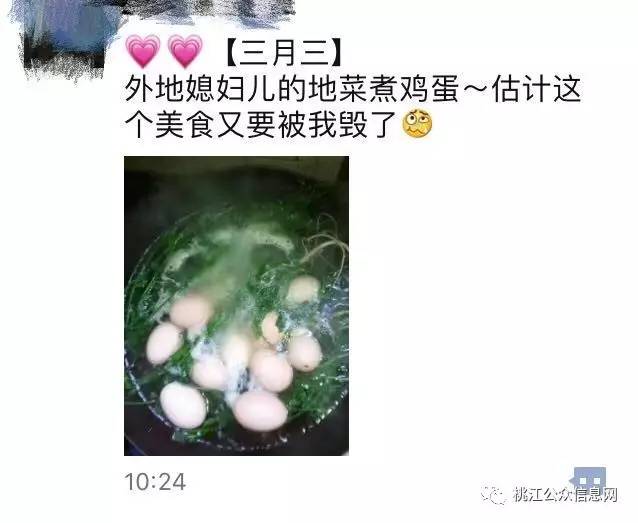 菜子乡人口_菜子花的图片(2)