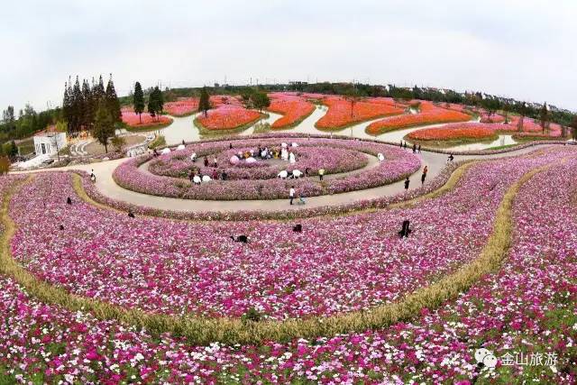 朱泾镇花开海上生态园