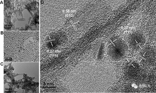 72纳米棒的tem图