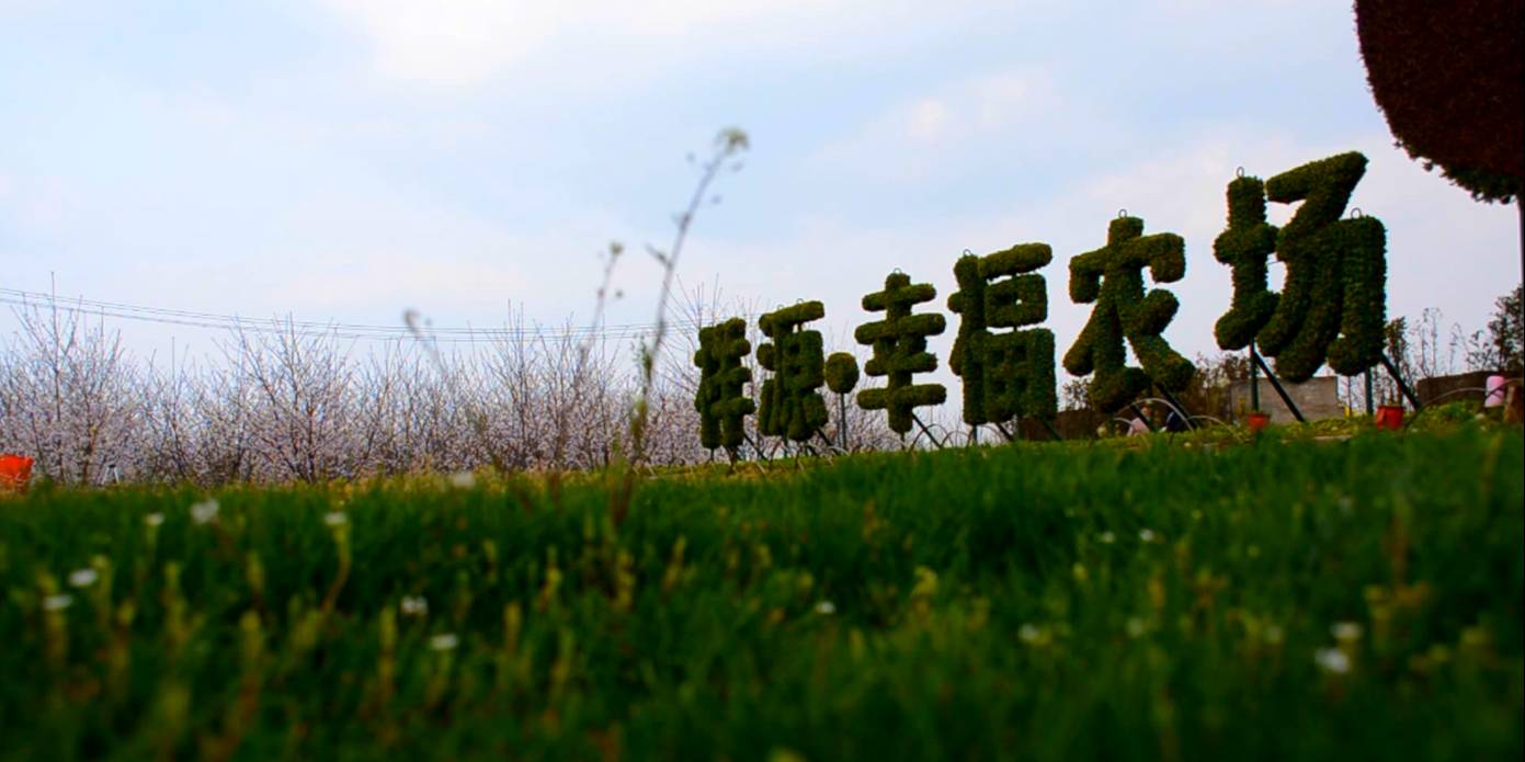 便到了十里花海之地—祥源幸福农场!