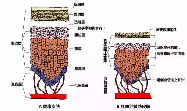 明明皮肤白皙,为什么你还是有种挥之不去的土气?