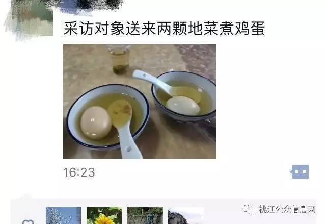 菜子乡人口_菜子花的图片(2)