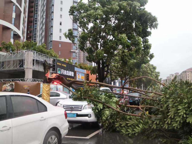 东莞暴雨黄色和雷雨大风黄色预警生效20个易水浸点你要知道！