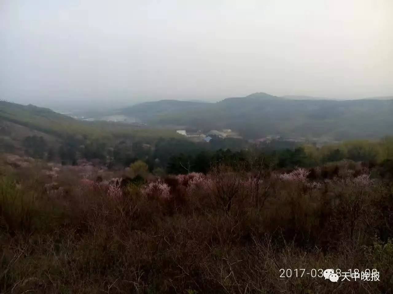 庄浪盘龙山人口_庄浪紫荆山公园图片