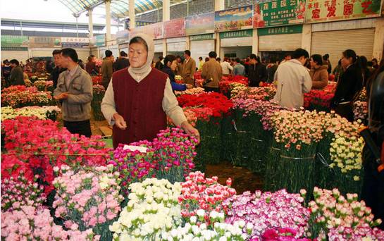 云南斗南花卉市场一年的gdp_云南有这5个地方上榜 中国最美的50个特色小镇发布(2)