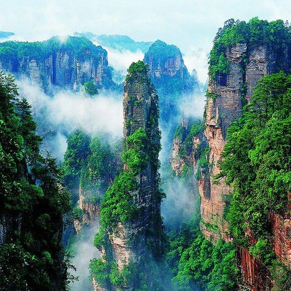 浪不完的春天,鸟语花香季节游张家界-美景