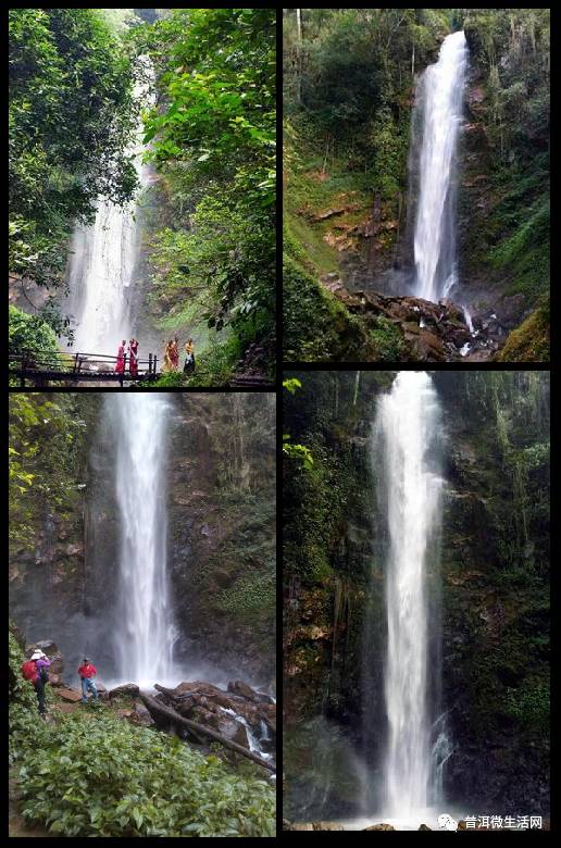 孟连勐马瀑布西盟里坎瀑布景东羊山瀑布普洱的花海无量山樱花谷澜沧