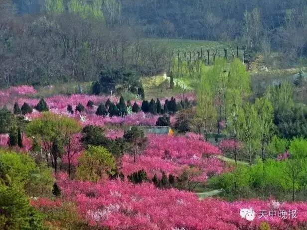 庄浪盘龙山人口_庄浪紫荆山公园图片