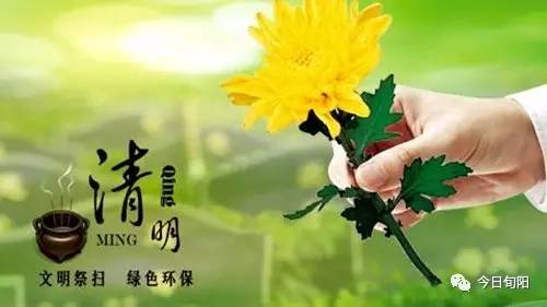 清明将至,旬阳县倡议您文明 环保 节俭 平安祭祀!