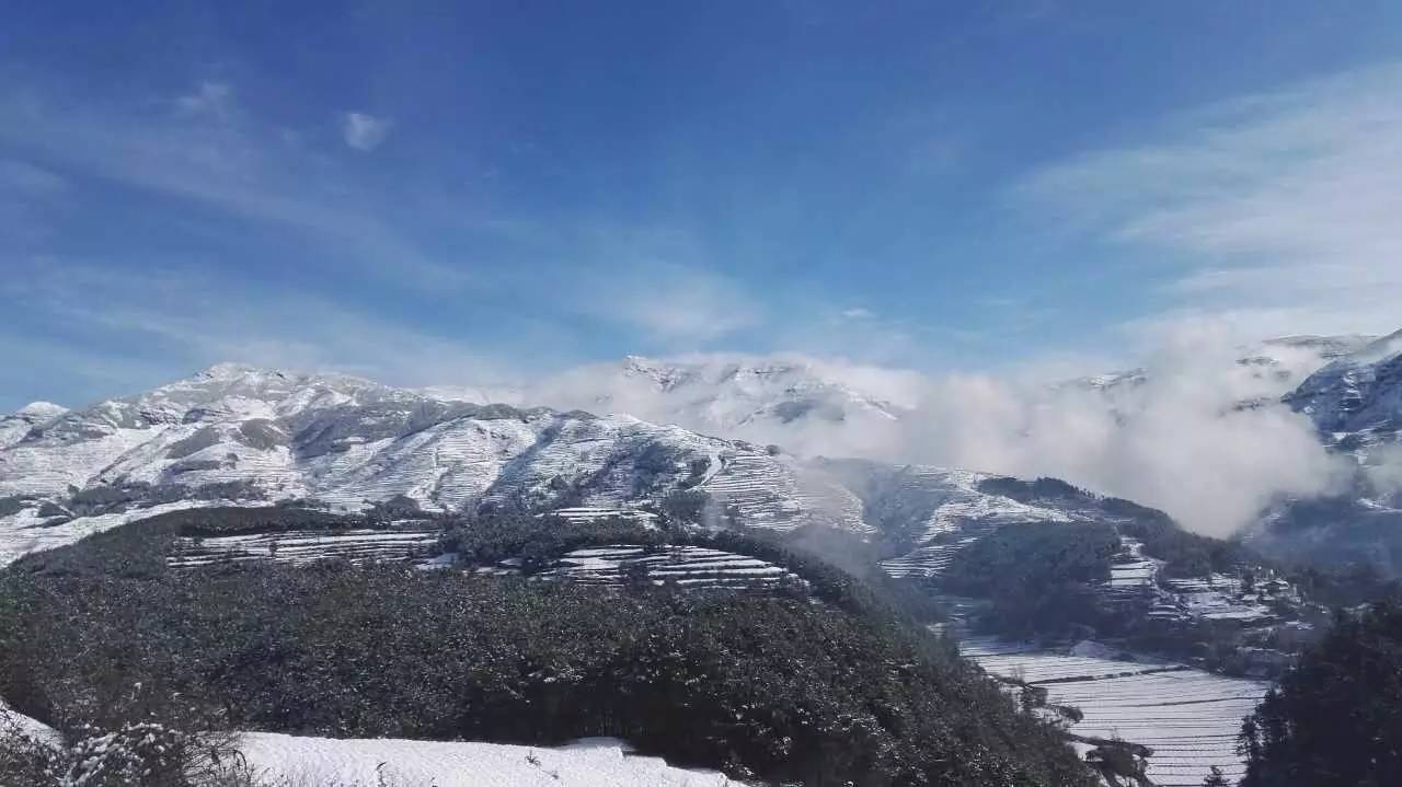 巧家邂逅阳春白雪,小伙伴速来围观