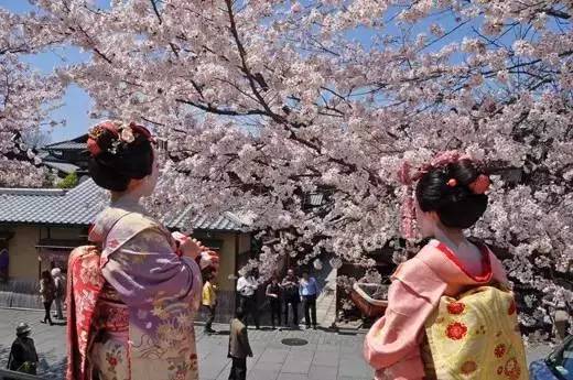 源自中国的樱花,为什么成了日本的国花?